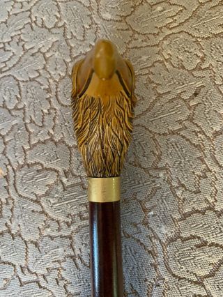 Vintage Carved Eagle Head Handle Design Polished Wooden Cane Walking Stick 36” 2