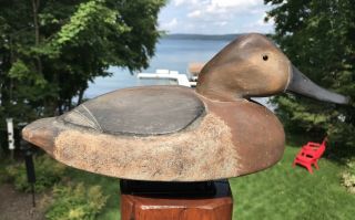 Vintage Nick Purdo Hen Canvasback Duck Decoy All Michigan Great Paint