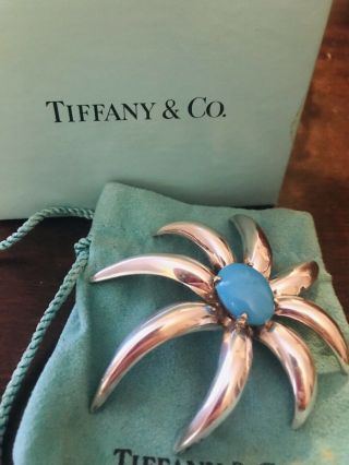 Rare Tiffany & Co.  18k Gold Sterling Silver Fireworks Persian Turquoise Brooch