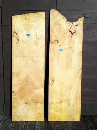 2 Curly And Spalted Maple Boards Air Dried Vintage