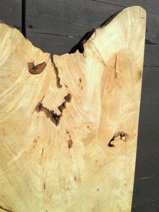 2 Curly and Spalted Maple Boards Air Dried Vintage 8