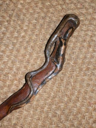 Antique Walking Stick W/ Carved Arabic Mans Head W/ glass eyes & Lizard & Snake 2