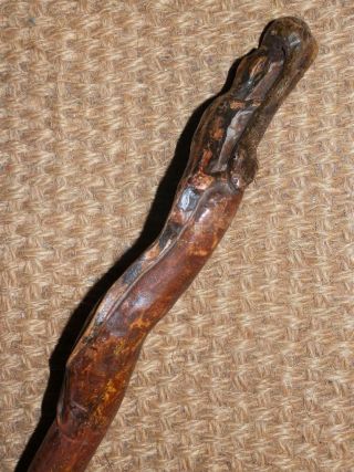 Antique Walking Stick W/ Carved Arabic Mans Head W/ glass eyes & Lizard & Snake 5