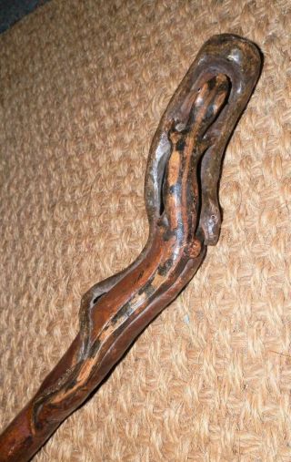 Antique Walking Stick W/ Carved Arabic Mans Head W/ glass eyes & Lizard & Snake 6