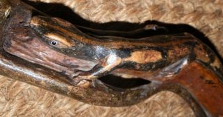 Antique Walking Stick W/ Carved Arabic Mans Head W/ glass eyes & Lizard & Snake 7