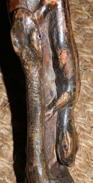 Antique Walking Stick W/ Carved Arabic Mans Head W/ glass eyes & Lizard & Snake 8