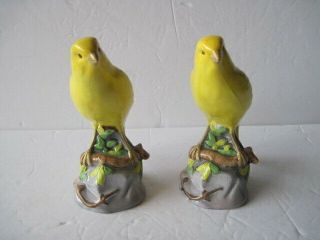 Vintage Spode Copelands China England Pair Yellow Canary Birds