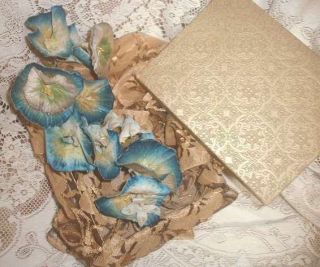 11 True Antique Edwardian French Millinery Flowers Blue Velvet Morning Glories