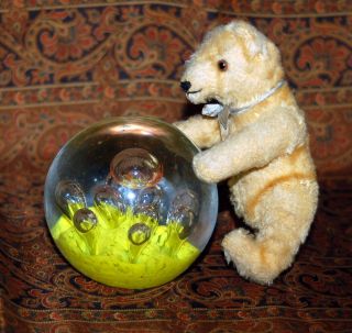 Sweet Little Goldblond Pre War Steiff Mohair Teddy Bear 6 "