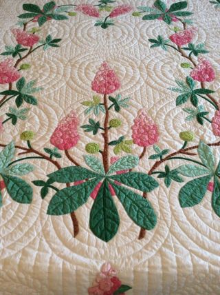 Vintage Progress Appliqué Quilt Made From A Kit: Chestnut Blossoms 10