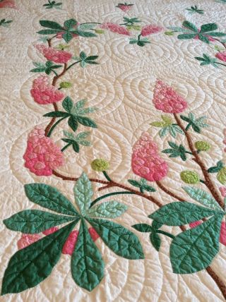 Vintage Progress Appliqué Quilt Made From A Kit: Chestnut Blossoms 11