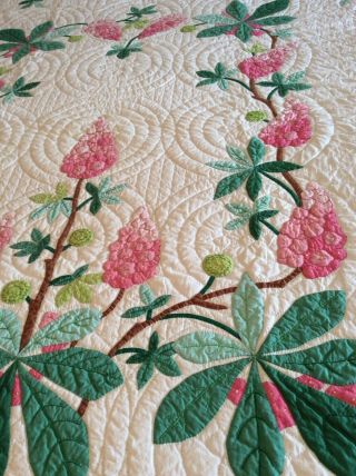 Vintage Progress Appliqué Quilt Made From A Kit: Chestnut Blossoms 12