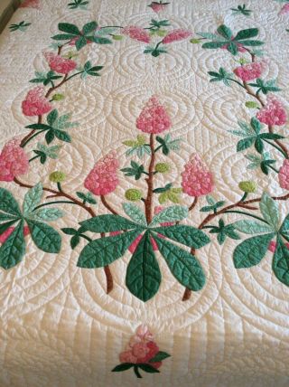 Vintage Progress Appliqué Quilt Made From A Kit: Chestnut Blossoms