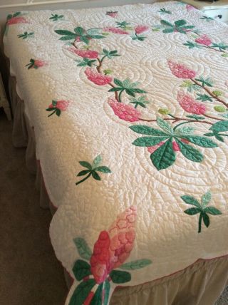 Vintage Progress Appliqué Quilt Made From A Kit: Chestnut Blossoms 2