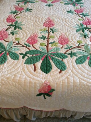 Vintage Progress Appliqué Quilt Made From A Kit: Chestnut Blossoms 3