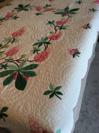 Vintage Progress Appliqué Quilt Made From A Kit: Chestnut Blossoms 4