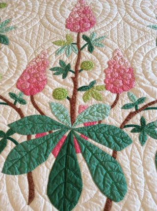 Vintage Progress Appliqué Quilt Made From A Kit: Chestnut Blossoms 5
