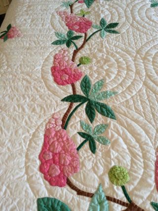 Vintage Progress Appliqué Quilt Made From A Kit: Chestnut Blossoms 6