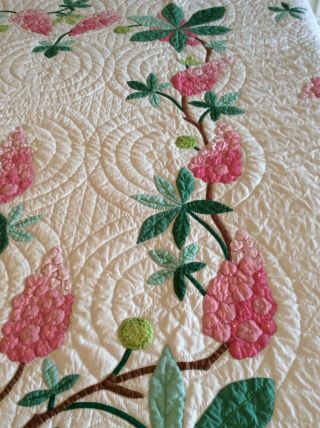 Vintage Progress Appliqué Quilt Made From A Kit: Chestnut Blossoms 7