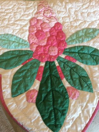 Vintage Progress Appliqué Quilt Made From A Kit: Chestnut Blossoms 8