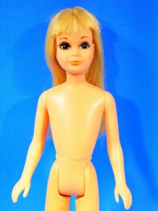 VERY RARE European Bend Leg Skipper Doll w/8126 MINTY Vintage 1970 ' s 2