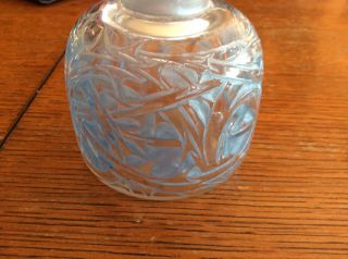 Vintage R.  Lalique Epines Thorns Perfume Bottle 4
