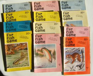 12 Vintage 1954 Fur,  Fish & Game Magazines Full Year 12 Months