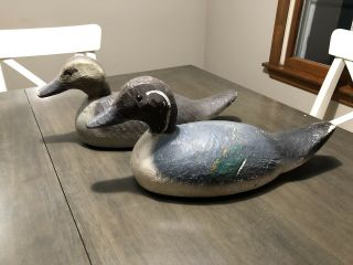 Animal Trap Co Factory Duck Decoys Vintage Pintail Decoys Glass Eyes Wood Carved