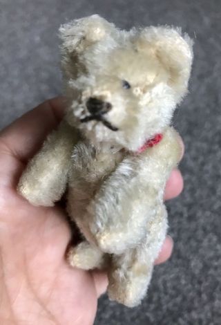 Steiff Miniature Bear 3.  5 " Vintage Once White So Cute No Id Buy Now No Res