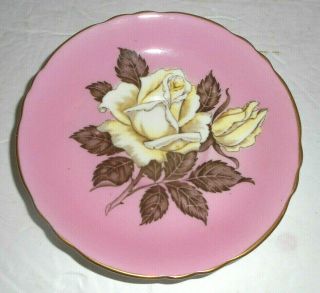 Vintage Paragon Floating White Cabbage Rose Pink Porcelain Saucer
