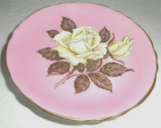 Vintage Paragon Floating White Cabbage Rose Pink Porcelain Saucer 2