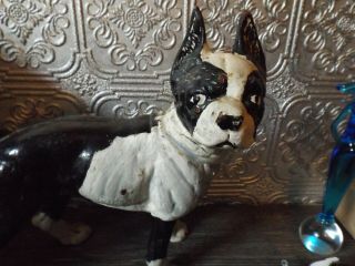 RARE Vintage Hubley Cast Iron Boston Terrier / Bull Dog Doorstop Statue 10 X 9 4