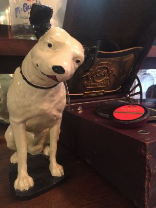 Vintage Rca Victor Nipper Dog Plaster Cast Heavy Adverting Statue Lrg 15 " 12lb
