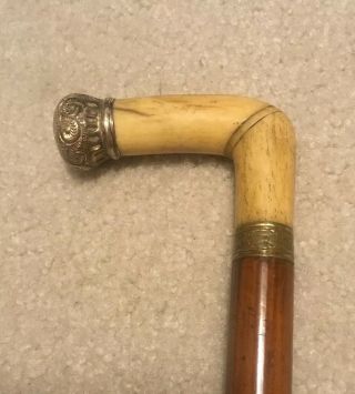 Antique Gold Filled Bone Walking Stick Presentation Cane