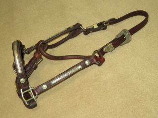 Vintage Western Brown Leather Show Halter With Lovely Alpaca Silver