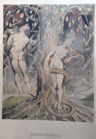 Portfolio Of 9 Large Vintage William Blake Art Prints Paradise Lost 1947 Studio