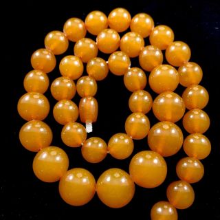 Vintage Baltic Amber Necklace Choker Graduated Butterscotch Amber Round Beads.