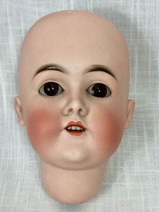 Large Antique Doll Head Armand Marseille Am Queen Louise Pretty German Bisque