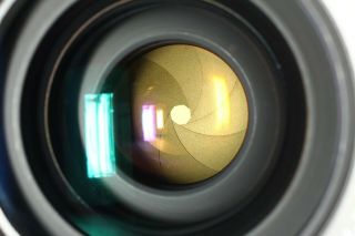 Rare {n.  Mint} Canon Fd 35mm F2 S.  S.  C.  Ssc Wide Angle Mf Lens For Japan 100h