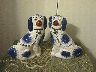 2 Vintage Staffordshire England White & Blue Floral Spaniel Dogs Gold Pair 11 "