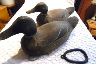 Precise Age Unknown Vintage Solid Wood Carved Duck Decoy Pair