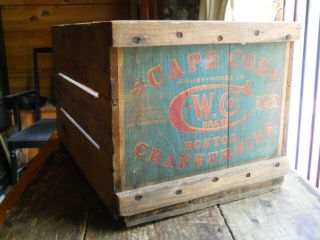 Vintage Early Colley - Woods Co.  Cape Cod Boston Cranberry Wood Box Painted Litho