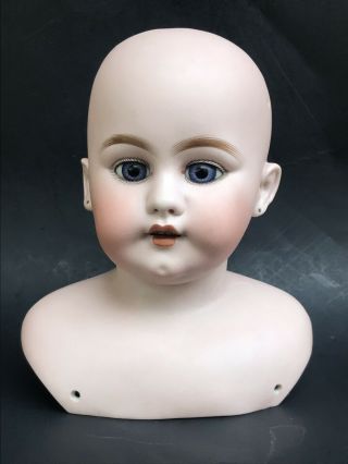 Estate Antique Simon Halbig S H 1040 / 13 Dep Doll Head Bust,  Eyes & Teeth