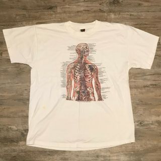 Vintage Anatomy T Shirt Skeleton Vtg L Medical Tee Rare 90s Large Anatomical
