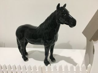 Rare Beswick Dene Dauntless Fell Pony – Model No.  1647 - Black Gloss Horse