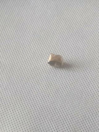 Vintage 18 KT or more Yellow Gold Tooth Scrap Dental Teeth Gold Post 4.  26 Grams 7