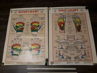 Vintage International Institute Of Reflexology Hand Chart & Foot Chart 1983