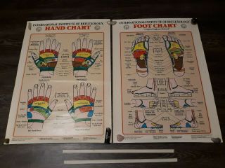 Vintage International Institute of Reflexology Hand Chart & Foot Chart 1983 2