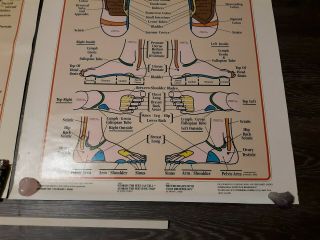 Vintage International Institute of Reflexology Hand Chart & Foot Chart 1983 3