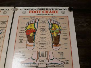 Vintage International Institute of Reflexology Hand Chart & Foot Chart 1983 4